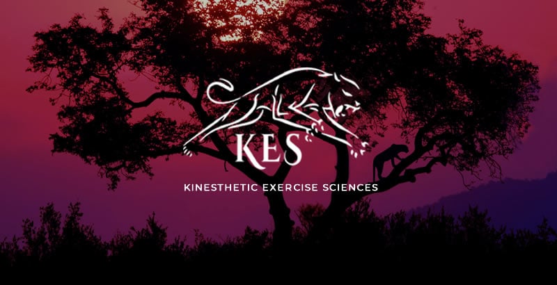 KES Fitness | Kinesthetic Exercise Sciences